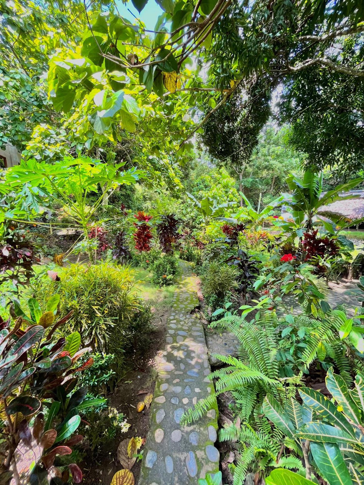 Santuario Tayrona Hostel Calabazo  Екстер'єр фото