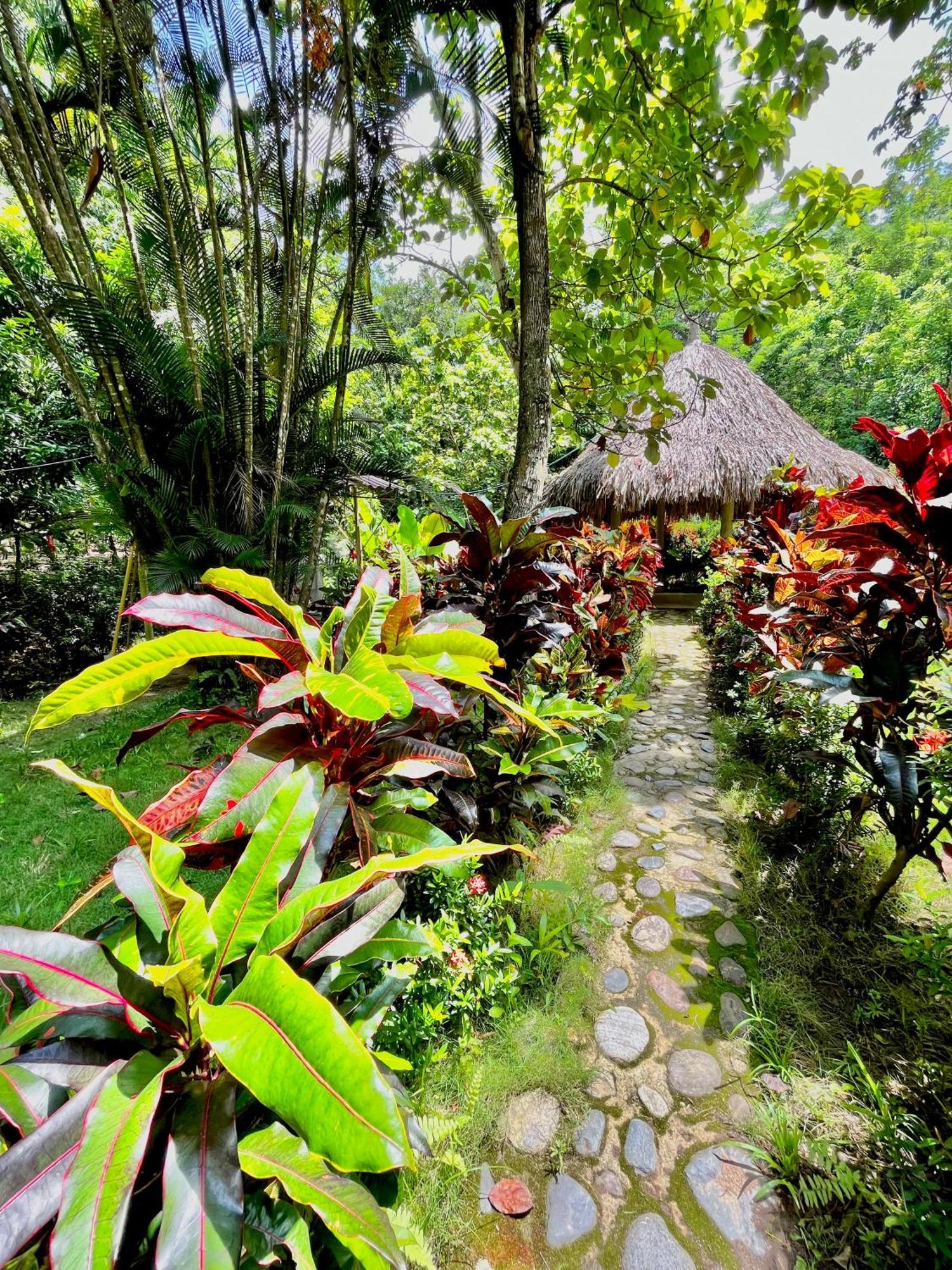 Santuario Tayrona Hostel Calabazo  Екстер'єр фото